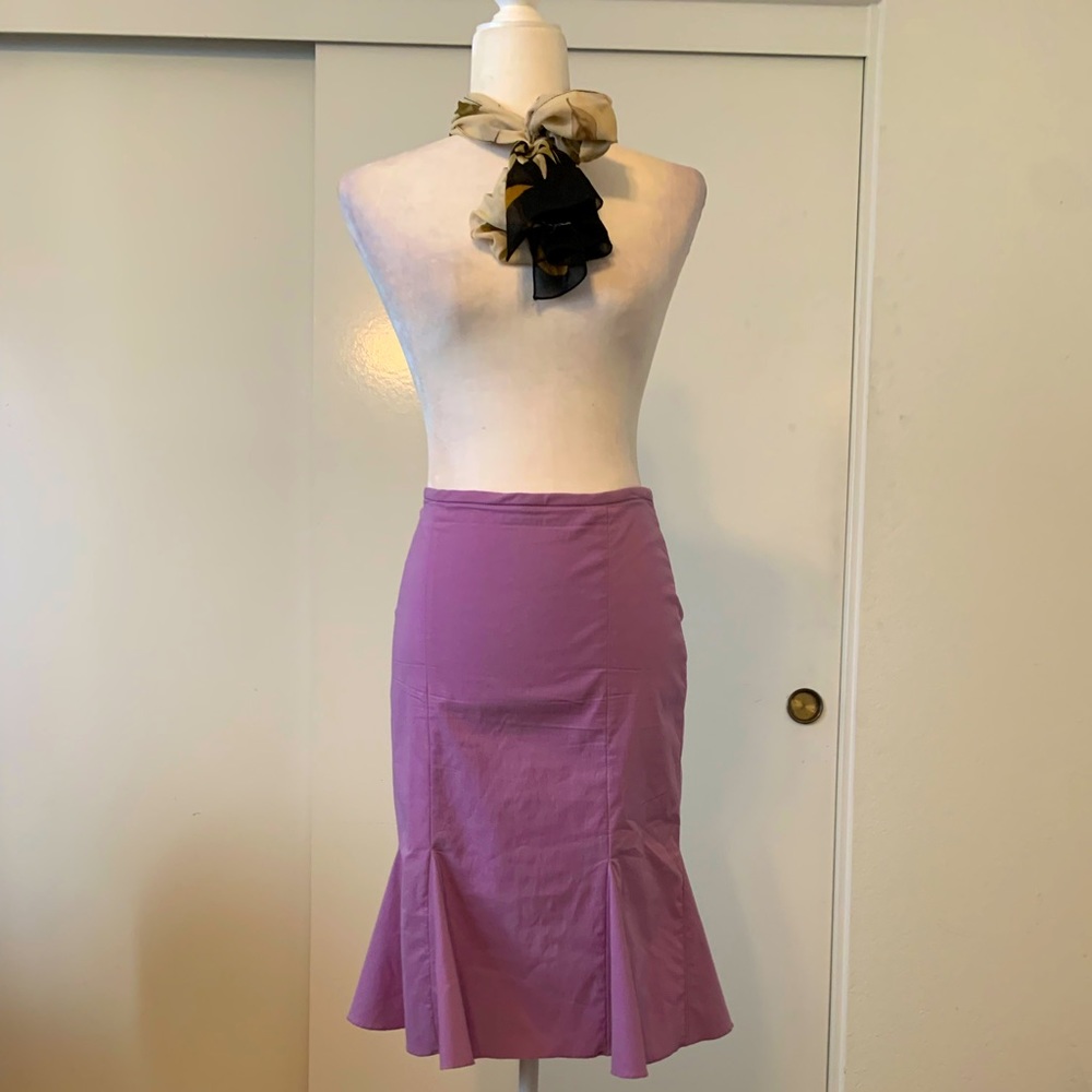 Equestrian Stretchy, Sexy Skirt. Beautiful color